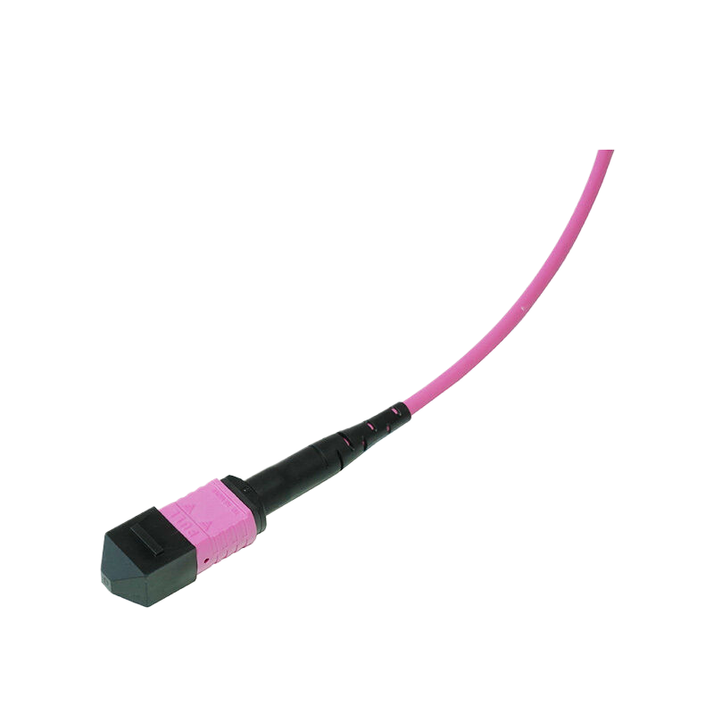 OM4 24芯MPO/MTP® UPC（母头）转2xMPO/MTP® UPC（母头）多模转换跳线，极性B