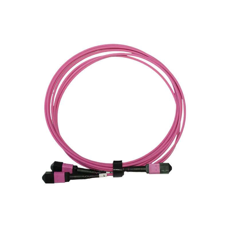 OM4 24芯MPO/MTP® UPC（母头）转2xMPO/MTP® UPC（母头）多模转换跳线，极性B