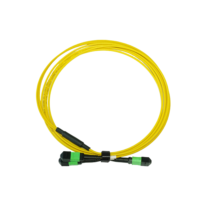 OS2 12芯MPO/MTP® APC（母头）转2xMPO/MTP® APC（母头）单模转换跳线，极性B